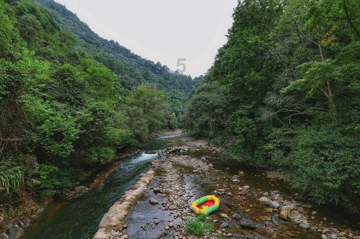 次元喵