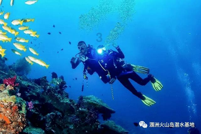 向影心：拿着丈夫当跳板，9年生8娃，因感冒被丈夫关进精神病医院