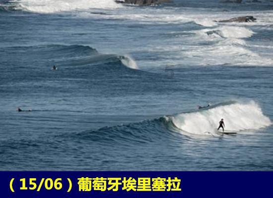 金刚鹦鹉逃生