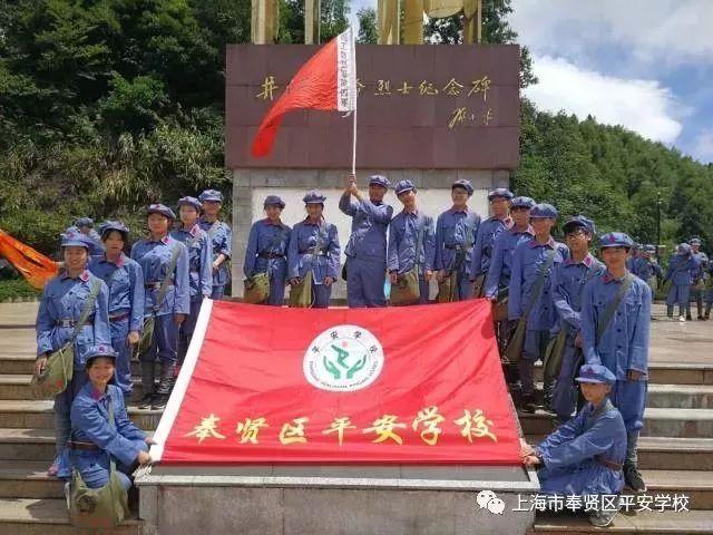 救援可爱的狮子